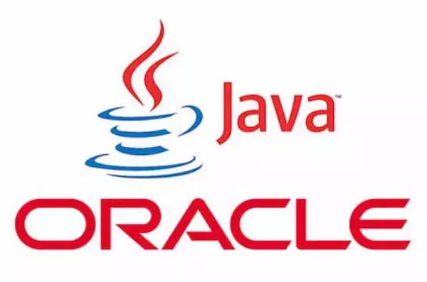 深入理解 Java 虚拟机——走近 Java