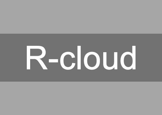 java开发的R-cloud（工作流程管理系统软件）