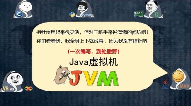 小白对入门语言的选择，C、C++、Java、Python、.NET该怎么选？