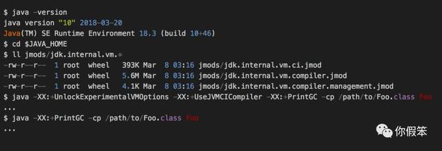Java10来了，来看看它一同发布的全新JIT编译器
