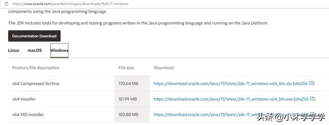 Java SE 17 JDK 的安装